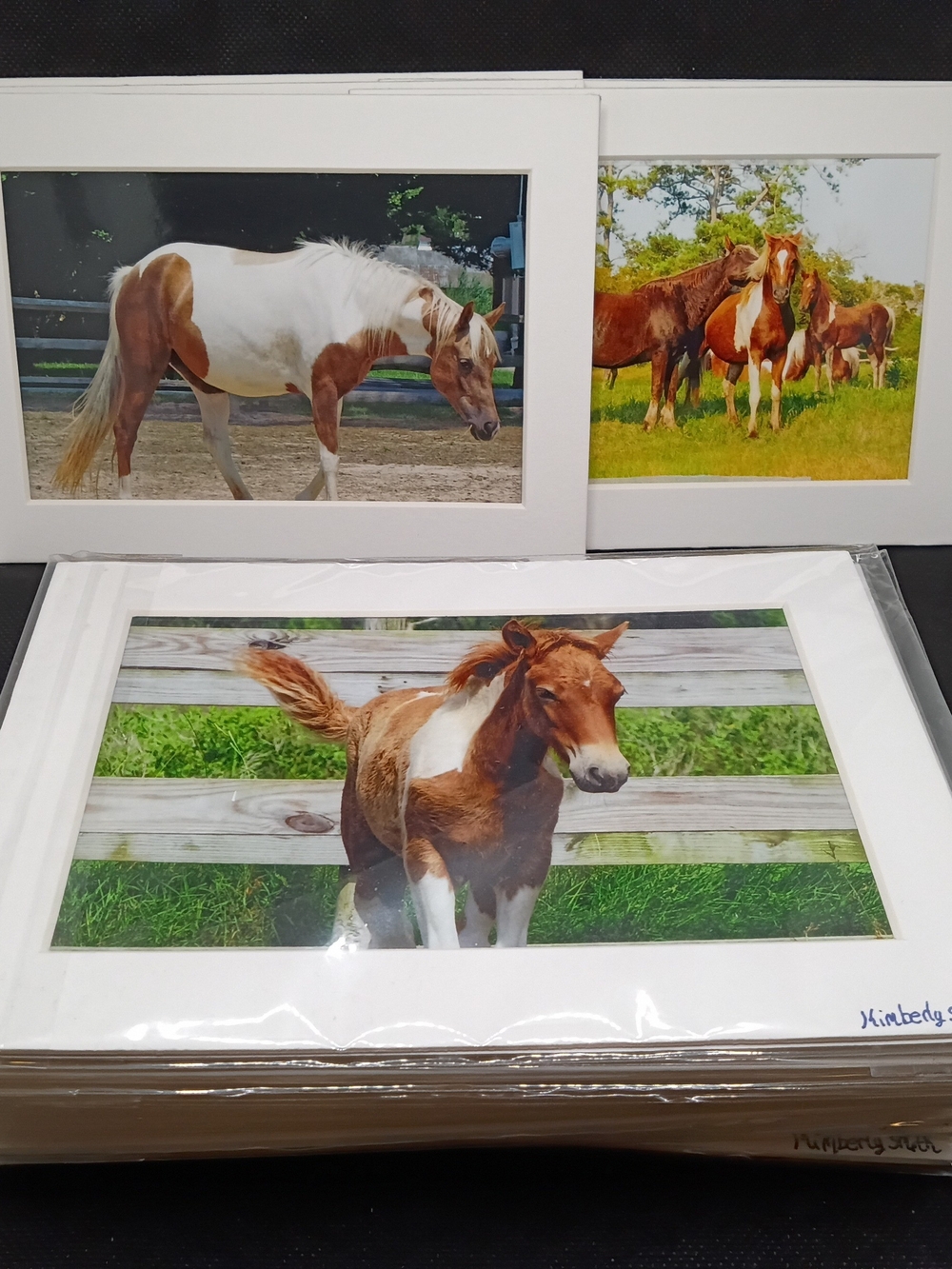 White Framed Horse Print Wall Art - White